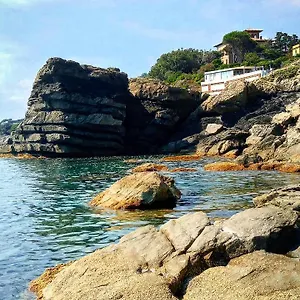 https://hotel-la-scogliera-cavi-di-lavagna.hotelitalianriviera.com
